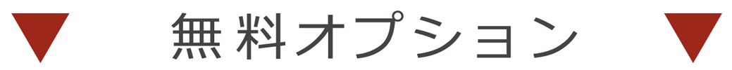 その他のオプション